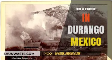 Durango's Air Crisis: Uncovering the Causes of Severe Pollution