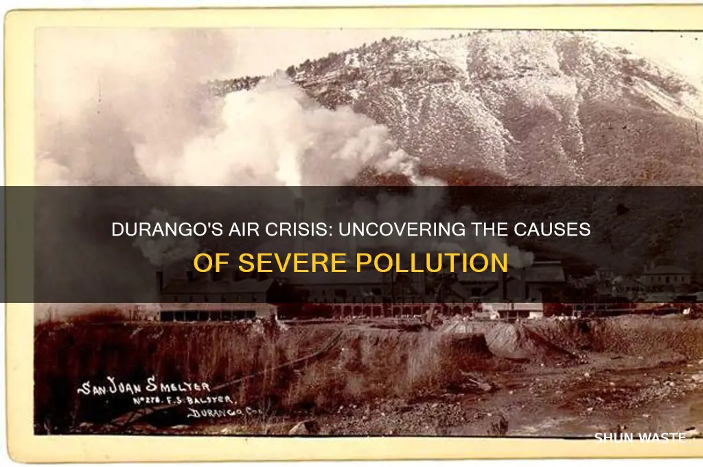 why so polluted in durango mexico
