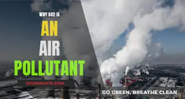 SO2's Harmful Effects: Understanding Air Pollution