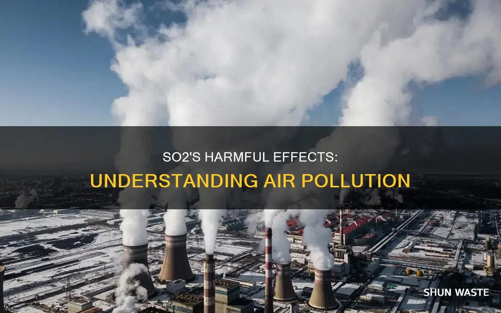 why so2 is an air pollutant