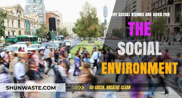Social Norms: Building Blocks for a Healthy Social Environment