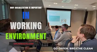 Boosting Productivity: The Power of Socialization in the Workplace