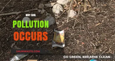 Understanding the Causes of Soil Pollution and Its Environmental Impact