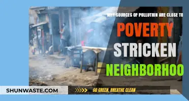 Pollution's Unfair Burden: Why Poor Neighborhoods Suffer the Most