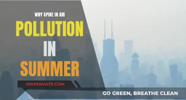 Summer Air Pollution: Why the Spike?