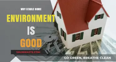 Stable Homes, Brighter Futures: The Power of a Secure Environment
