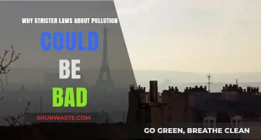 Stricter Pollution Laws: Potential Economic and Social Consequences Explored