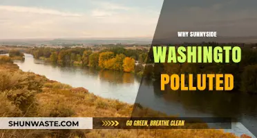 Why Sunnyside, Washington's Air and Water Face Severe Pollution