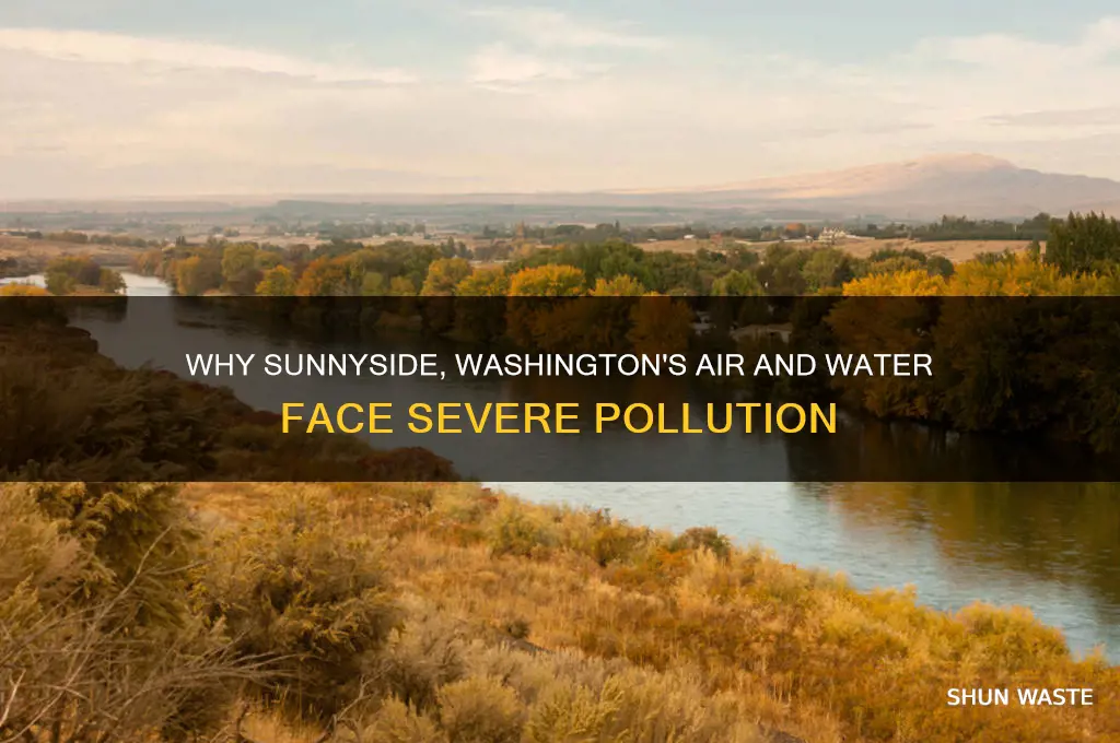 why sunnyside washingto polluted