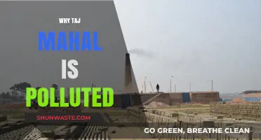Taj Mahal's Pollution Crisis: Causes and Urgent Solutions Needed