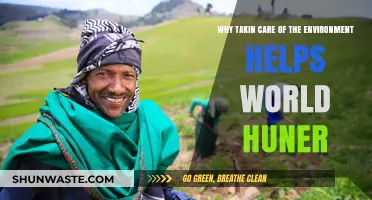 Sustainable Environment: Key to Solving Global Hunger Crisis