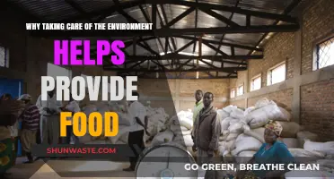 Sustainable Planet, Secure Meals: How Eco-Care Fuels Food Security