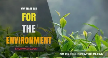 Tea's Hidden Cost: Environmental Impacts of Your Daily Brew