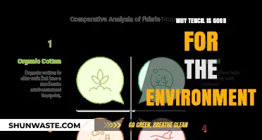 Tencil's Eco-Friendly Impact: Sustainable Benefits for a Greener Planet