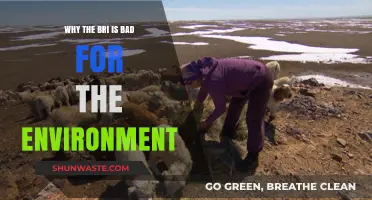 The BRI's Environmental Impact: Unsustainable Practices and Ecological Consequences