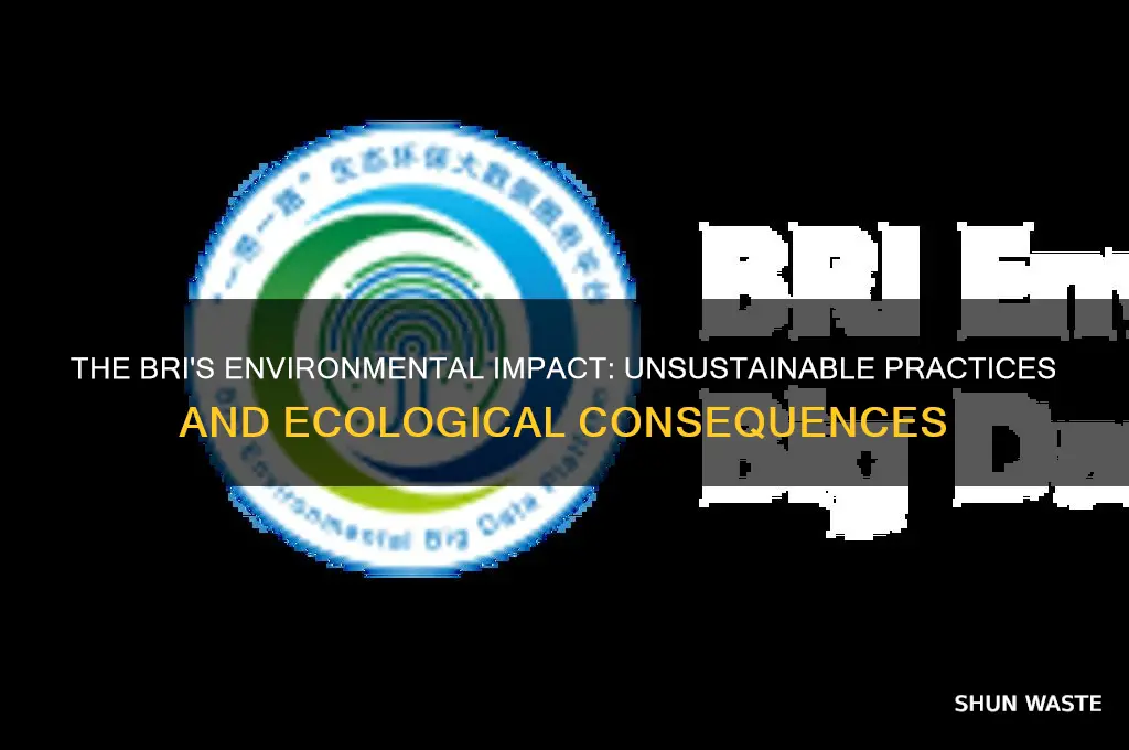why the bri is bad for the environment