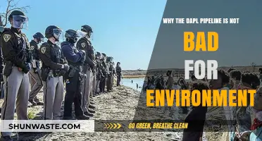 DAPL Pipeline: Environmental Impact Myths Debunked and Facts Revealed