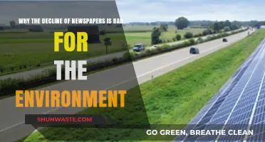 Newspaper Decline: Unseen Environmental Costs of Digital Media Shift