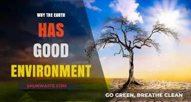 Earth's Thriving Environment: Natural Balance and Human Stewardship Explained