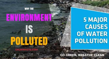 Human Activities and Their Impact: Unraveling the Causes of Environmental Pollution
