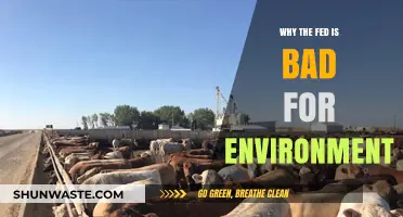 How Federal Policies Undermine Environmental Sustainability and Climate Action