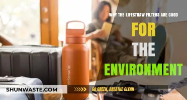 Eco-Friendly Hydration: How Lifestraw Filters Benefit Our Planet