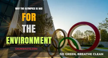 Olympic Games' Environmental Impact: Unsustainable Practices and Ecological Consequences