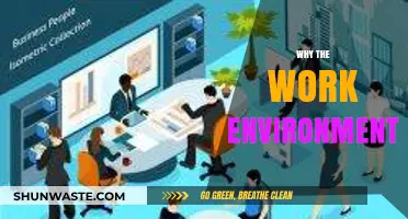 Why Your Work Environment Shapes Productivity and Employee Satisfaction