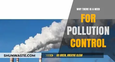 Combating Pollution: Essential Steps for a Sustainable and Healthy Future