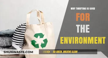 Sustainable Style: How Thrifting Reduces Waste and Saves the Planet