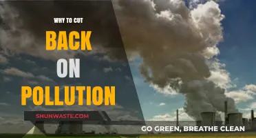 Reducing Pollution: Essential Steps for a Healthier Planet and Future