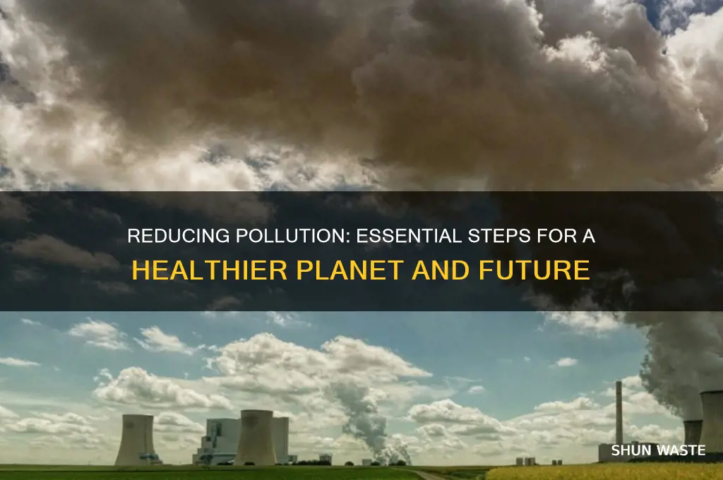 why to cut back on pollution