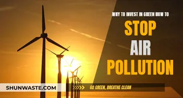 Green Investments: Stop Air Pollution, Start Now!