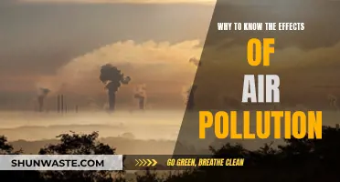 Air Pollution: Understanding Its Impact on Our Lives