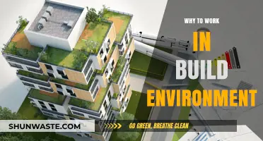 Why Choose a Career in Building Sustainable Environments?