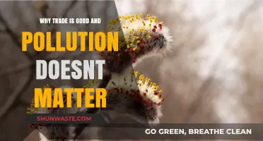 Trade's Benefits Outweigh Pollution Concerns: A Case for Economic Growth