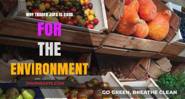 Trader Joe's Eco-Friendly Practices: Sustainable Shopping for a Greener Planet
