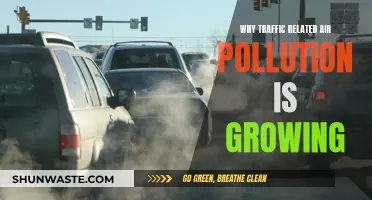 Traffic Air Pollution: A Growing Concern
