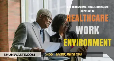 Transformational Leaders: Driving Healthcare Excellence and Positive Work Culture