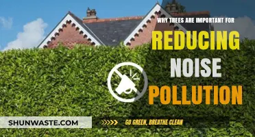 How Trees Naturally Silence Urban Noise Pollution and Enhance Peace
