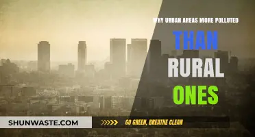 Urban Pollution Crisis: Why Cities Suffer More Than Rural Areas