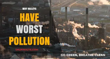 Why Valleys Trap Toxic Air: Uncovering Pollution's Hidden Havens