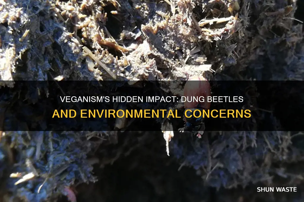 why veganism is bad for the environment dung beetles