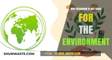 Veganism's Environmental Impact: Uncovering Hidden Costs and Misconceptions