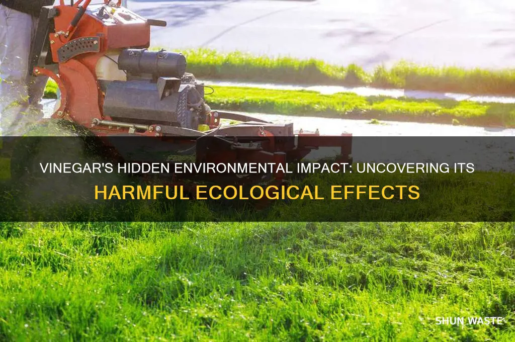 why vinegar in bad for environment