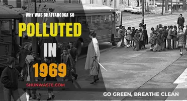 Chattanooga's 1969 Pollution Crisis: Causes and Consequences Revealed