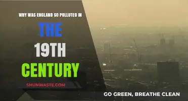 England's 19th-Century Smog: Industrial Revolution's Dark Environmental Legacy