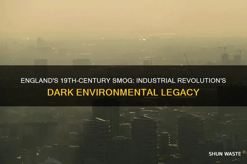 why was england so polluted in the 19th century