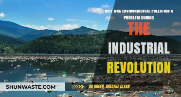 Industrial Revolution's Dark Legacy: Environmental Pollution and Its Impact