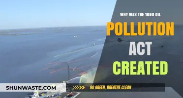 Understanding the 1990 Oil Pollution Act: Causes and Creation